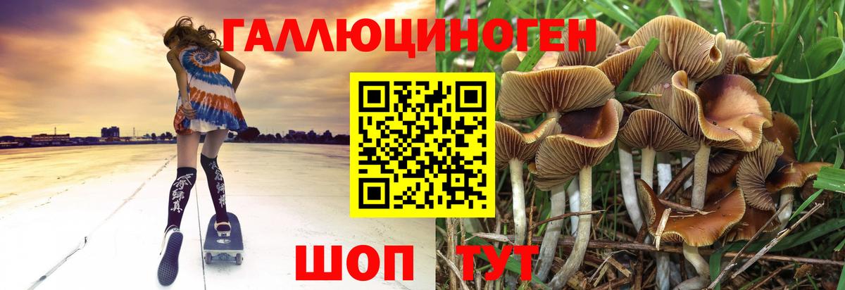 Ивантеевка  Псилоцибиновые грибы мухоморы  Вход с VPN 